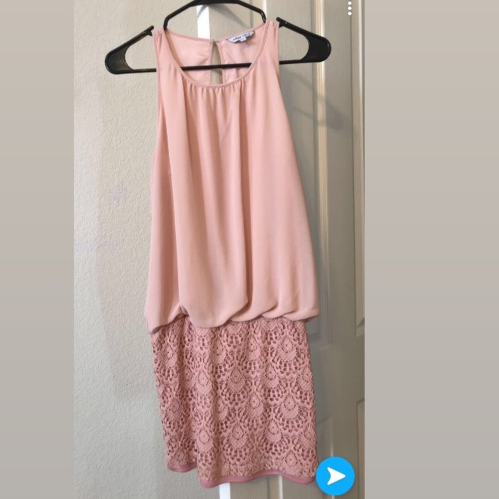 Blush Naked Zebra Dress